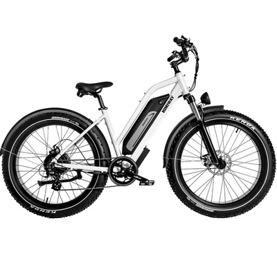 Bicicletta elettrica Himiway D3 Cruiser Step-Thru - Potenza 250W | Batteria 15Ah | Velocità 15,5 mph | Autonomia 60 km