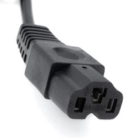 Caricabatterie IEC C13