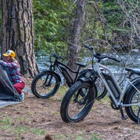 Bicicletta elettrica Himiway D3 Cruiser Step-Thru - Potenza 250W | Batteria 15Ah | Velocità 15,5 mph | Autonomia 60 km