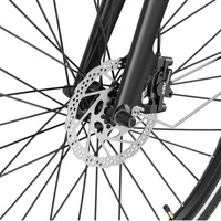 Heybike EC1 Step-Through Electric Bike - Potenza 250W | Batteria 10Ah | Velocità 15,5 mph | Autonomia 62mi