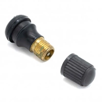 Conversione valvola aria Tubeless