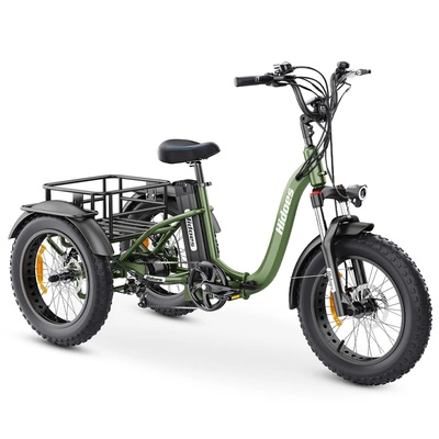 Triciclo elettrico Hidoes ET1 - Potenza 750W | Batteria 20Ah | Velocità 25mph | Autonomia 59mi