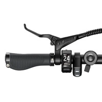 Bicicletta elettrica ENGWE P20 - Potenza 250W | Batteria 9,6Ah | Velocità 15,5 mph | Autonomia 62mi