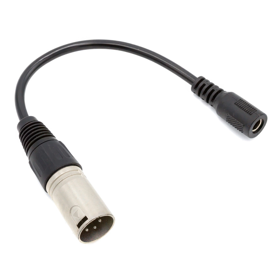 Adattatore DC da 2,1 mm x 5,5 mm a XLR 4 PIN