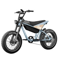 Moto elettrica Himiway C5 Ultra - Potenza 250W | Batteria 20Ah | Velocità 15,5 mph | Autonomia 80mi