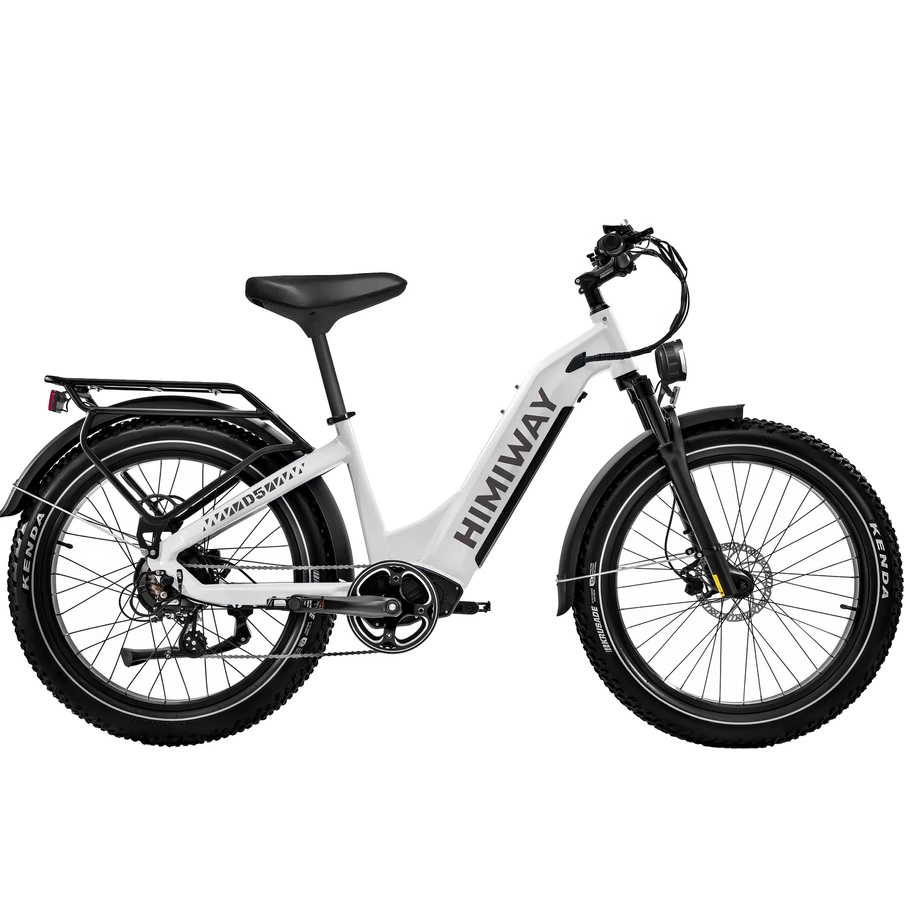 Bicicletta elettrica Himiway D5 Zebra Step-Thru - Potenza 250W | Batteria 20Ah | Velocità 15,5 mph | Autonomia 80mi