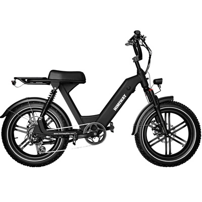 Bicicletta elettrica Himiway Escape Pro - Potenza 250W | Batteria 17,5Ah | Velocità 15,5 mph | Autonomia 50mi