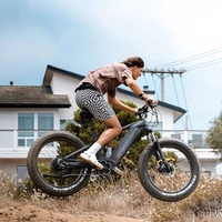 Himiway D7 Cobra - Bicicletta elettrica da caccia - Potenza 250W | Batteria 20Ah | Velocità 15,5 mph | Autonomia 80mi