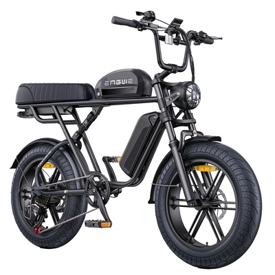 Bicicletta elettrica ENGWE M1 - Potenza 250W | Batteria 29Ah | Velocità 15,5 mph | Autonomia 106mi