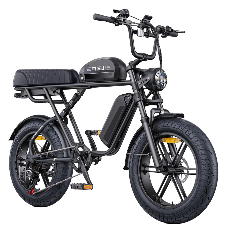 Bicicletta elettrica ENGWE M1 - Potenza 250W | Batteria 29Ah | Velocità 15,5 mph | Autonomia 106mi