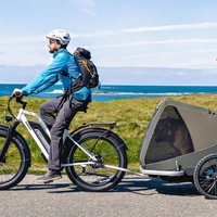 Bicicletta elettrica Himiway D3 Cruiser Step-Thru - Potenza 250W | Batteria 15Ah | Velocità 15,5 mph | Autonomia 60 km