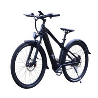 GIN X Hybrid Electric Bike | Urban Performance | 250W (500W Peak) di potenza | 30mph di velocità | 12.8Ah di batteria | 75mi di autonomia | 27.5