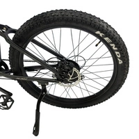 Allegro MTB Pro Electric Bike - Potenza 1000W | Batteria 20Ah | Velocità 30mph | Autonomia 84mi
