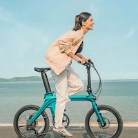 Fiido X 2025 Bicicletta elettrica pieghevole - Potenza 250W | Batteria 11.6Ah | Velocità 15.5mph | Autonomia 81mi | Manubrio rialzato