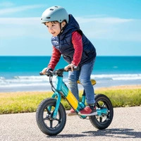 Fiido K1 Electric Balance Bike - Potenza 80W | Batteria 5.8Ah | Velocità 7.5mph | Autonomia 12mi