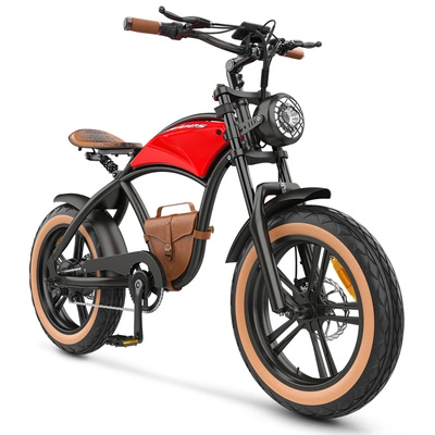 Bici elettrica Hidoes B10 - Potenza 1000W | Batteria 13Ah | Velocità 15,5 mph | Autonomia 41mi