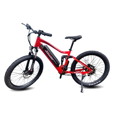 Allegro MTB Electric Bike - Potenza 1000W | Batteria 18Ah | Velocità 30mph | Autonomia 53mi