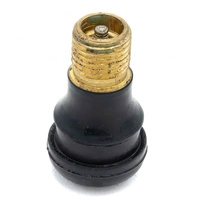 Conversione valvola aria Tubeless