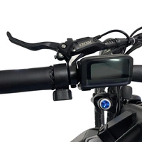 Allegro MTB Pro Electric Bike - Potenza 1000W | Batteria 20Ah | Velocità 30mph | Autonomia 84mi