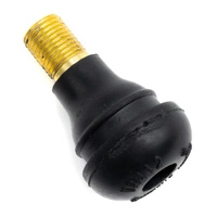 Conversione valvola aria Tubeless