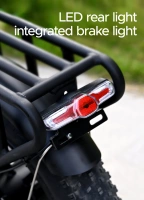 ENGWE Engine X Bicicletta elettrica pieghevole - Potenza 250W | Batteria 13Ah | Velocità 15,5 mph | Autonomia 75mi