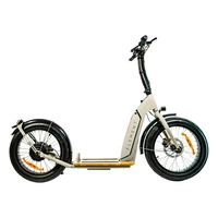 Element Bondi Electric Scooter elettrico | Prestazioni urbane | 500W (800W Peak) di potenza | 22mph di velocità | 14Ah di batteria | 30mi di autonomia | 20-Inch di design | Trasporto urbano premium