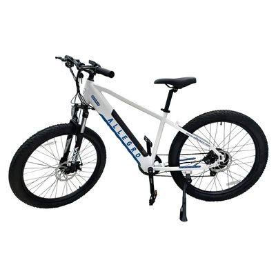 Allegro City Cruiser Ebike 500W 36V 13Ah Bici elettrica