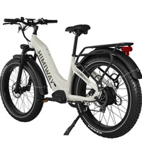 Bicicletta elettrica Himiway D5 Zebra Step-Thru - Potenza 250W | Batteria 20Ah | Velocità 15,5 mph | Autonomia 80mi