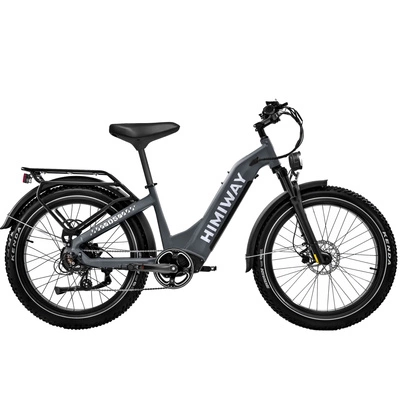 Bicicletta elettrica Himiway D5 Zebra Step-Thru - Potenza 250W | Batteria 20Ah | Velocità 15,5 mph | Autonomia 80mi