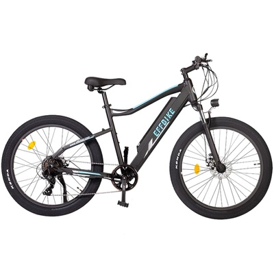 Allegro City Cruiser Ebike 500W 36V 13Ah Bici elettrica