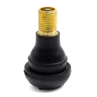 Conversione valvola aria Tubeless