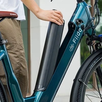 Bicicletta elettrica Fiido C11 - Potenza 500W | Batteria 10,4Ah | Velocità 20mph | Autonomia 56mi