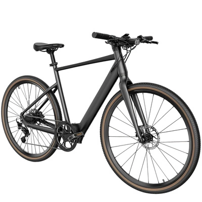 Bicicletta elettrica Fiido C21 - Potenza 250W | Batteria 5,8Ah | Velocità 15,5mph | Autonomia 62mi