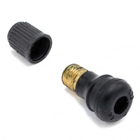 Conversione valvola aria Tubeless