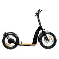 Element Bondi Electric Scooter elettrico | Prestazioni urbane | 500W (800W Peak) di potenza | 22mph di velocità | 14Ah di batteria | 30mi di autonomia | 20-Inch di design | Trasporto urbano premium