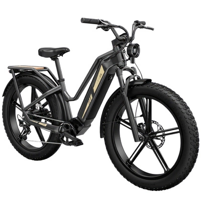Bicicletta elettrica Fiido Titan - Potenza 750W | Batteria 14,5Ah | Velocità 28mph | Autonomia 84mi