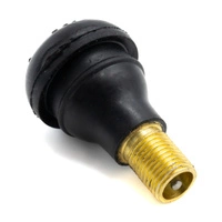 Conversione valvola aria Tubeless