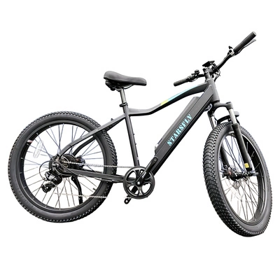 Allegro City Cruiser Ebike 500W 36V 13Ah Bici elettrica
