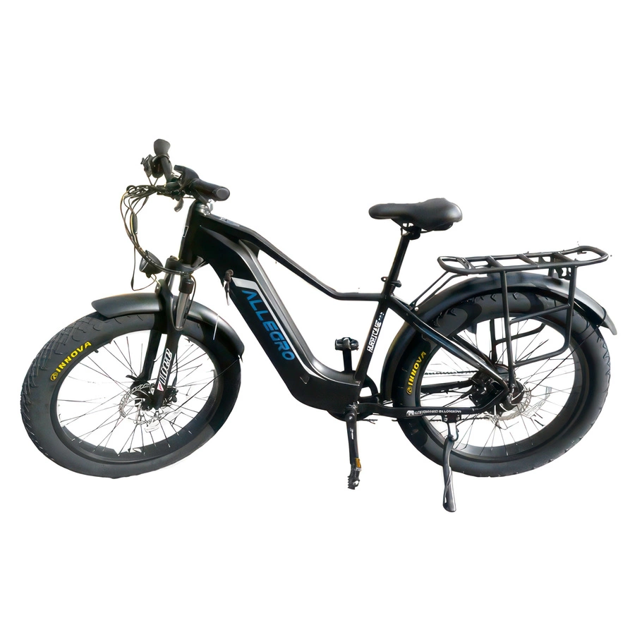Allegro Huricane Ebike 750W 48V 20Ah Freno idraulico Bici elettrica a lunga autonomia