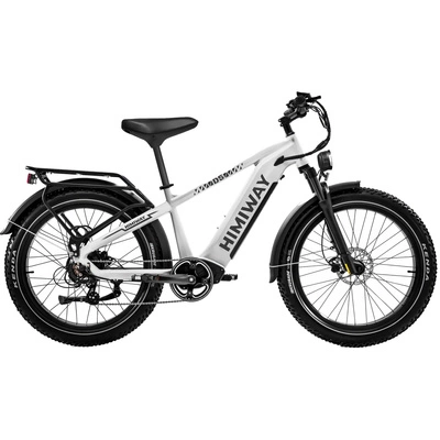 Bicicletta elettrica Himiway D5 Zebra a passo alto - Potenza 250W | Batteria 20Ah | Velocità 15,5 mph | Autonomia 80mi