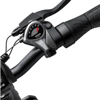 ENGWE EP-2 Pro Bicicletta elettrica pieghevole - Potenza 250W | Batteria 13Ah | Velocità 15,5 mph | Autonomia 75mi