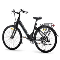 Argento Omega Electric Bike - Potenza 250W | Batteria 10.4Ah | Velocità 15.5mph | Intervallo 44mi