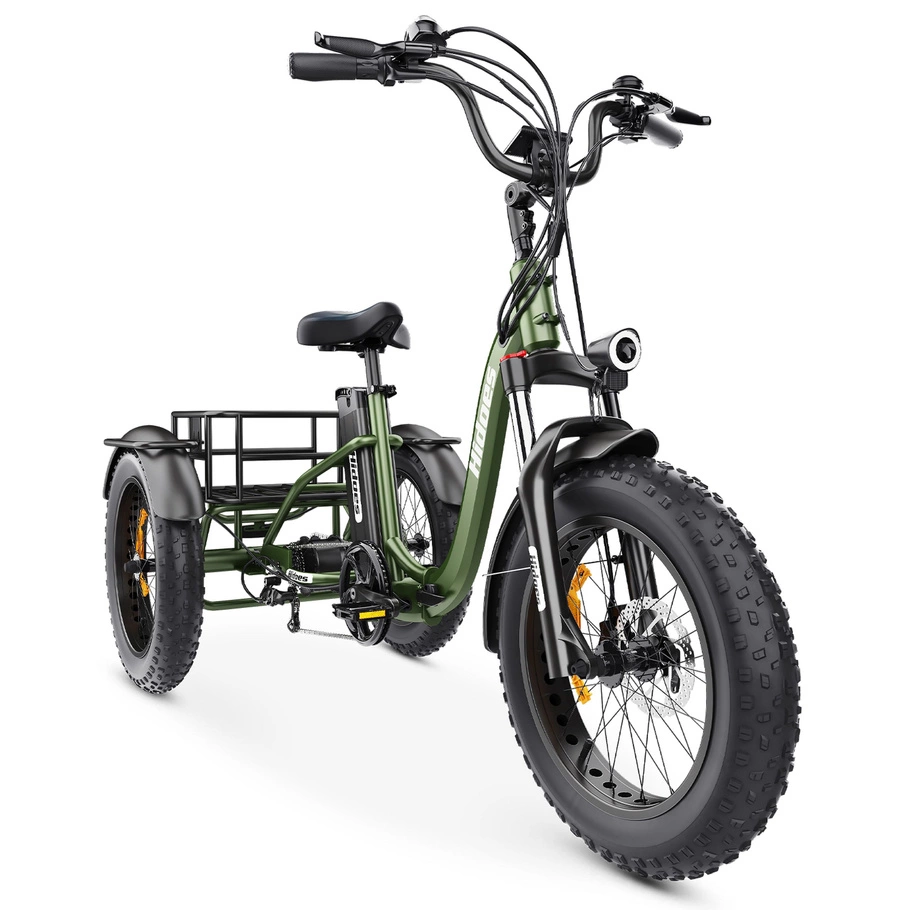 Triciclo elettrico Hidoes ET1 - Potenza 750W | Batteria 20Ah | Velocità 25mph | Autonomia 59mi