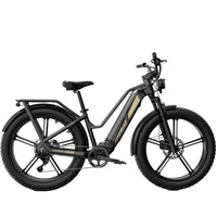 Bicicletta elettrica Fiido Titan - Potenza 750W | Batteria 14,5Ah | Velocità 28mph | Autonomia 248mi