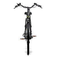 Argento Omega Electric Bike - Potenza 250W | Batteria 10.4Ah | Velocità 15.5mph | Intervallo 44mi