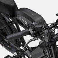 Bicicletta elettrica ENGWE M1 - Potenza 250W | Batteria 29Ah | Velocità 15,5 mph | Autonomia 106mi