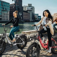 Bicicletta elettrica ENGWE L20 - Potenza 750W | Batteria 13Ah | Velocità 25mph | Autonomia 90mi