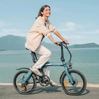 Bicicletta elettrica pieghevole Fiido D11 - Potenza 250W | Batteria 11.6Ah | Velocità 15.5mph | Autonomia 62mi