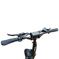 Allegro City Fold Pro 162mi Freno idraulico a lunga escursione Ebike pieghevole a lunga escursione