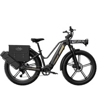 Bicicletta elettrica Fiido Titan - Potenza 750W | Batteria 14,5Ah | Velocità 28mph | Autonomia 248mi
